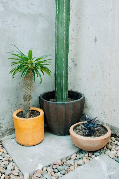 Charming 3Br Oasis, 5 Min Fr Usa - Ac In Every Rm Ciudad Juárez Exteriér fotografie